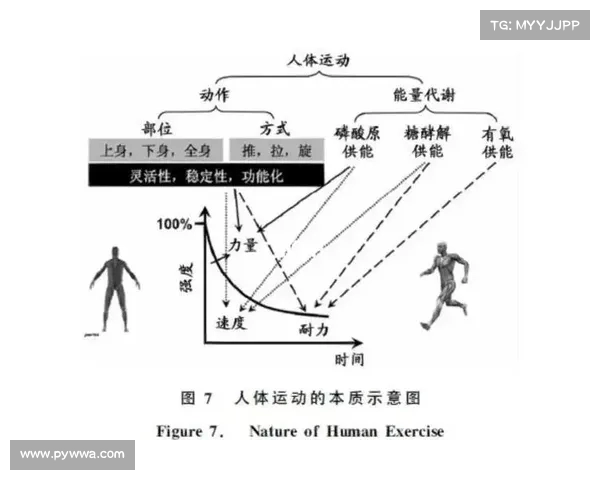 球员体能提升的关键因素与科学训练方法解析 球员体能提升的关键因素与科学训练方法解析