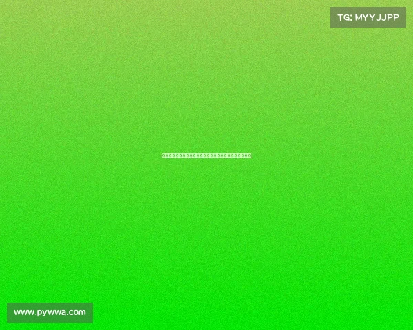 美国国门特纳转会里昂后租借回归新英格兰革命队继续征战